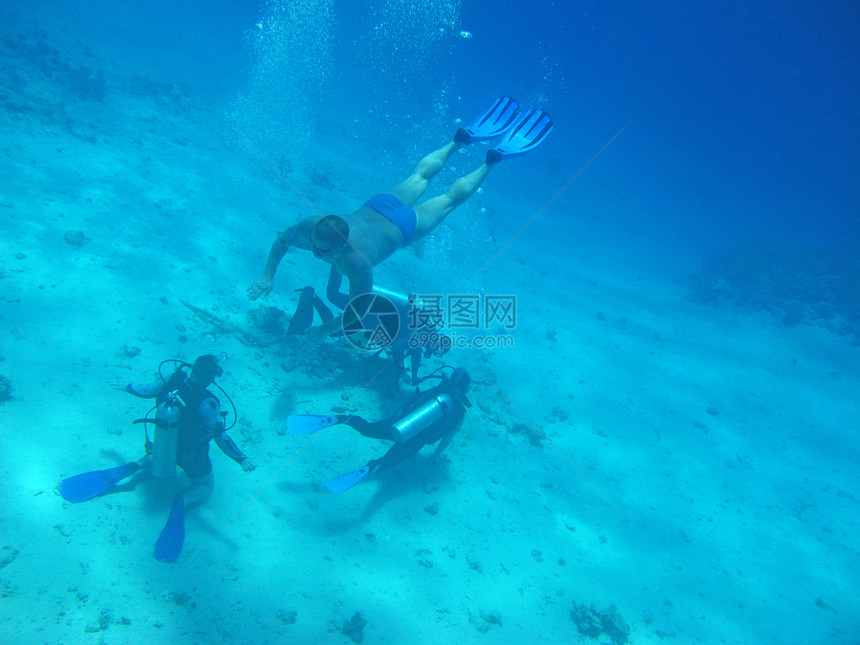 多种游泳潜水浮潜潜水员情调假期热带海洋异国珊瑚图片