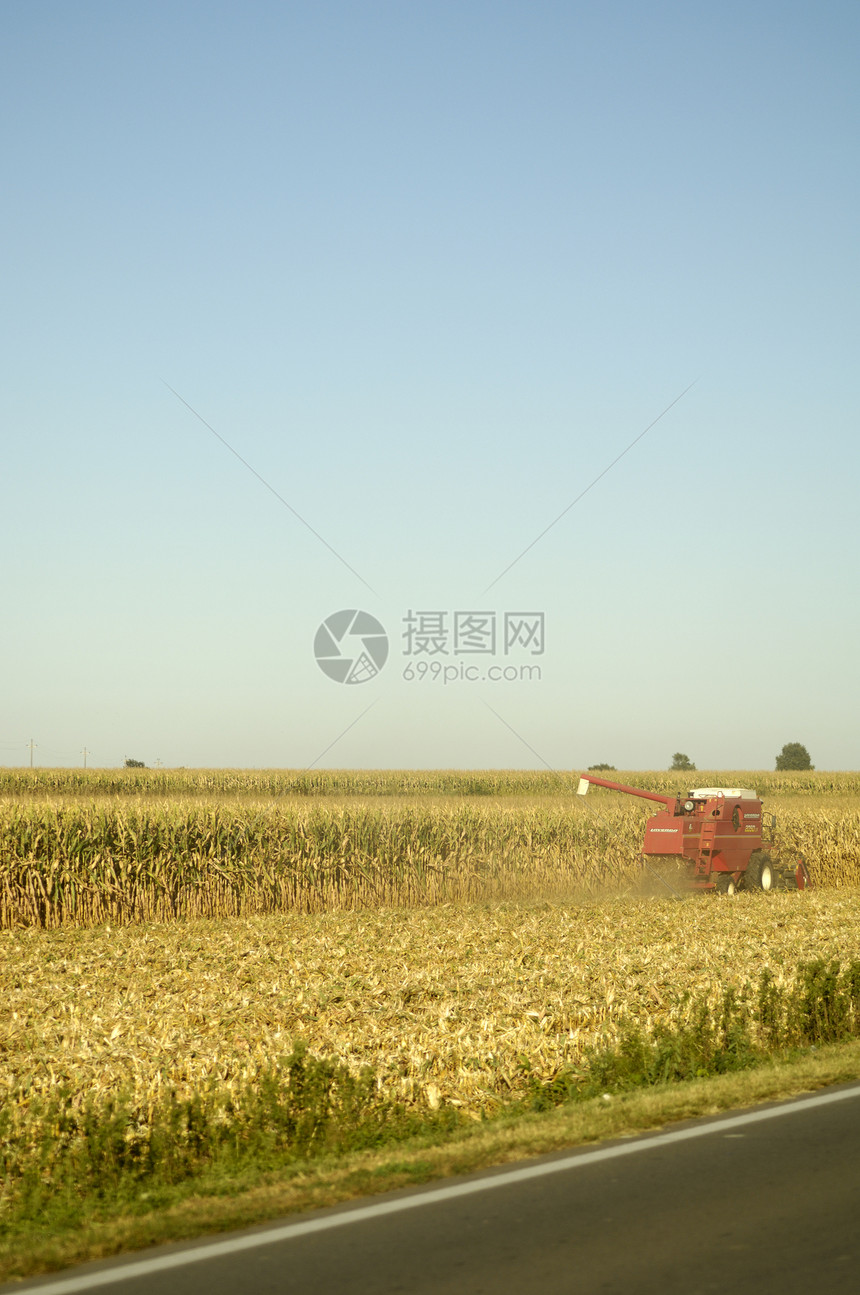 收获器农田收成收获粮食食物玉米小麦农业谷物场地图片