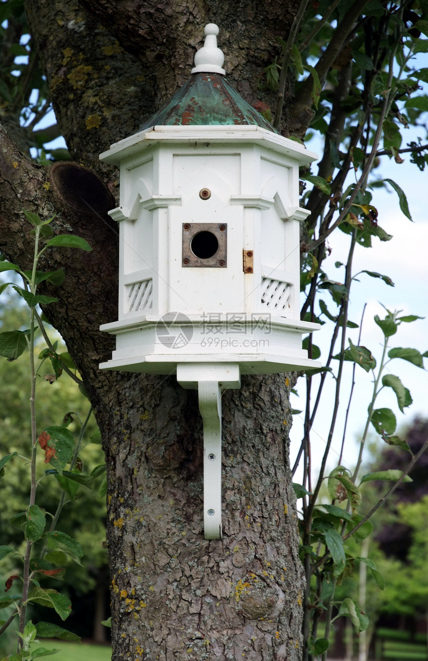 鸟鸟之家白色木头季节野生动物荒野房子盒子国家庇护所花园图片