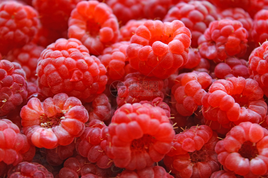 草莓红色水果健康甜点果汁香气浆果食物图片