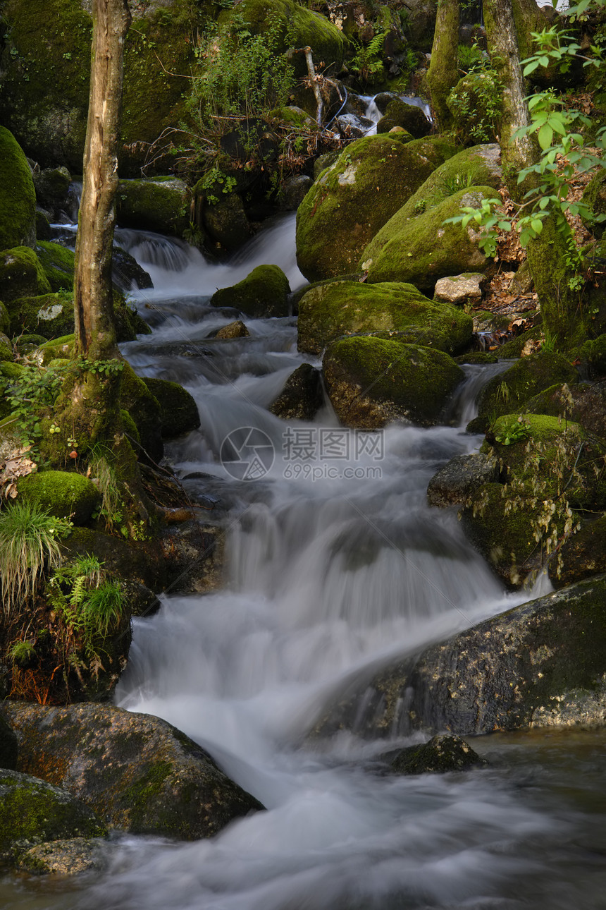 水飞溅流动公园岩石风景溪流森林苔藓瀑布天堂图片