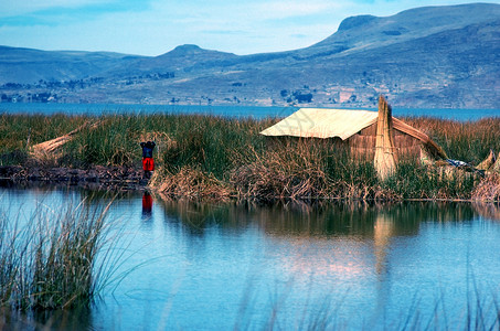 赤道湖尿路海拔芦苇山雀岛屿部落背景图片