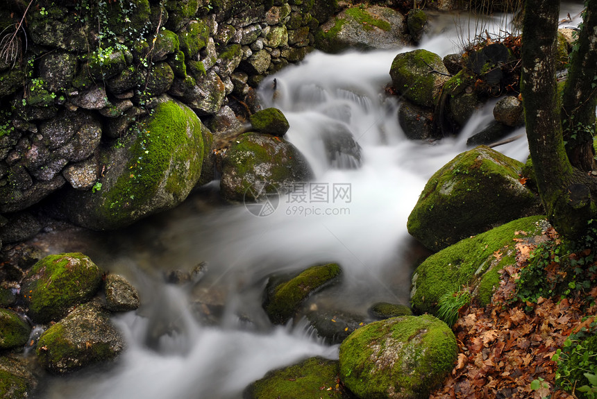 水瀑下雨森林树木环境丝绸跑步岩石起源生活石头图片