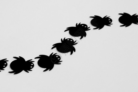 黑蜘蛛白色玩具漏洞昆虫生物蜘蛛臭虫塑料背景图片