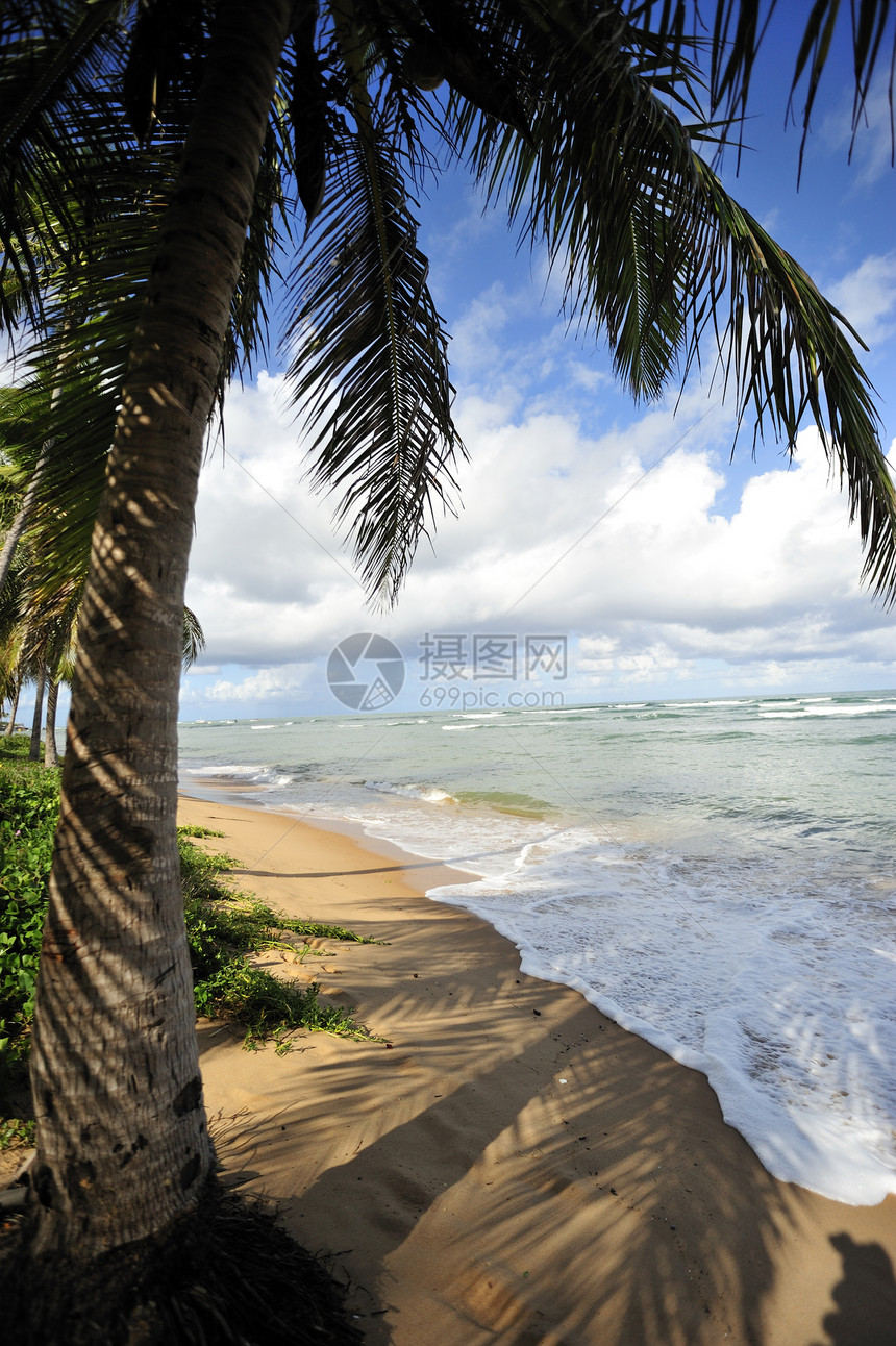 天堂海滩闲暇海景环境热带蓝色气候异国假期旅行情调图片