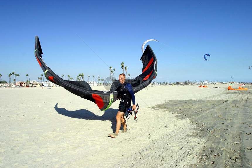 风滑热带风筝叶子植物阳光棕榈天堂海岸海浪蓝色图片