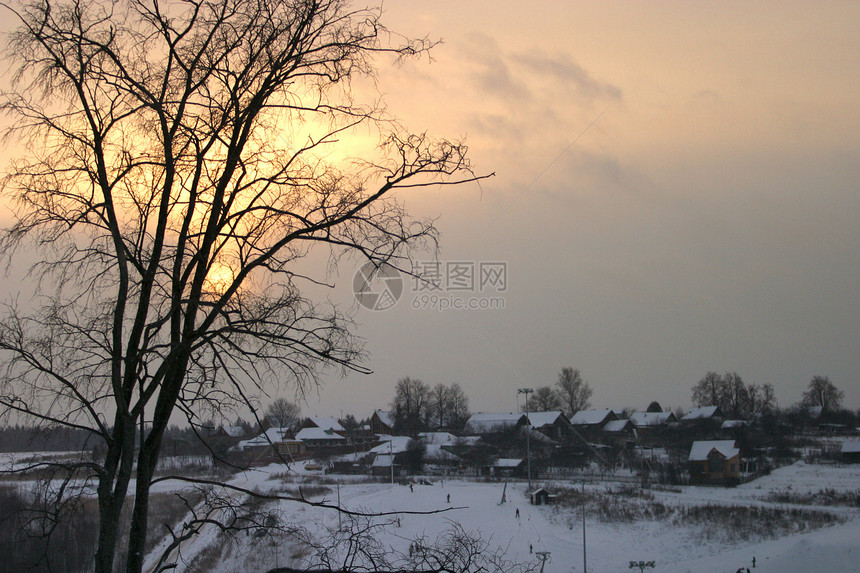 孤独的树村庄冻结太阳狂风分支机构季节树叶雪景小路树木图片