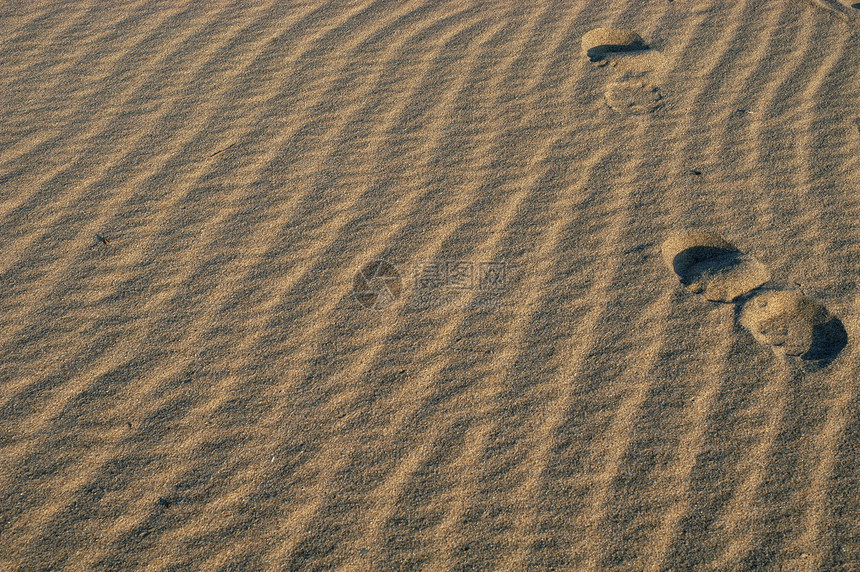 沙旅行脚印沙丘寻找者自由旅行者沙漠时间印刷孤独图片