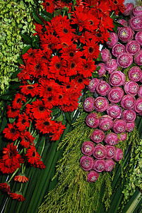 花花装饰植物红色派对节日纪念日粉色婚礼庆典绿色周年背景图片