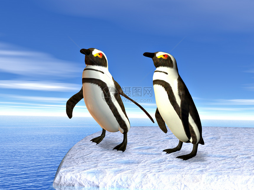 冰流上的企鹅海洋图片