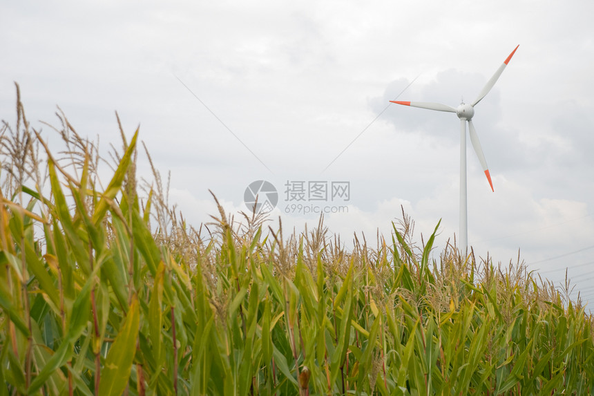 风风涡轮技术力量绿色红色环境工业燃料服务发电机天空图片