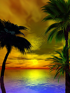 日落3d红色插图太阳海洋棕榈背景图片