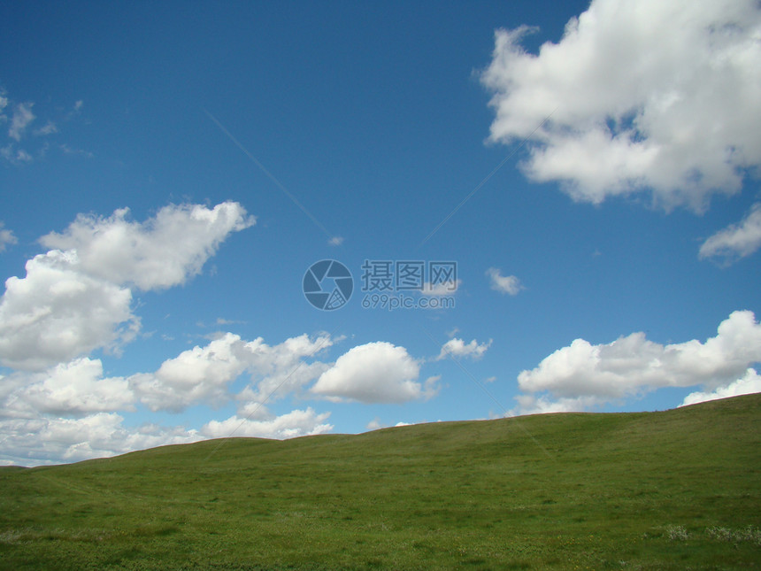 天空和草草的背景图片