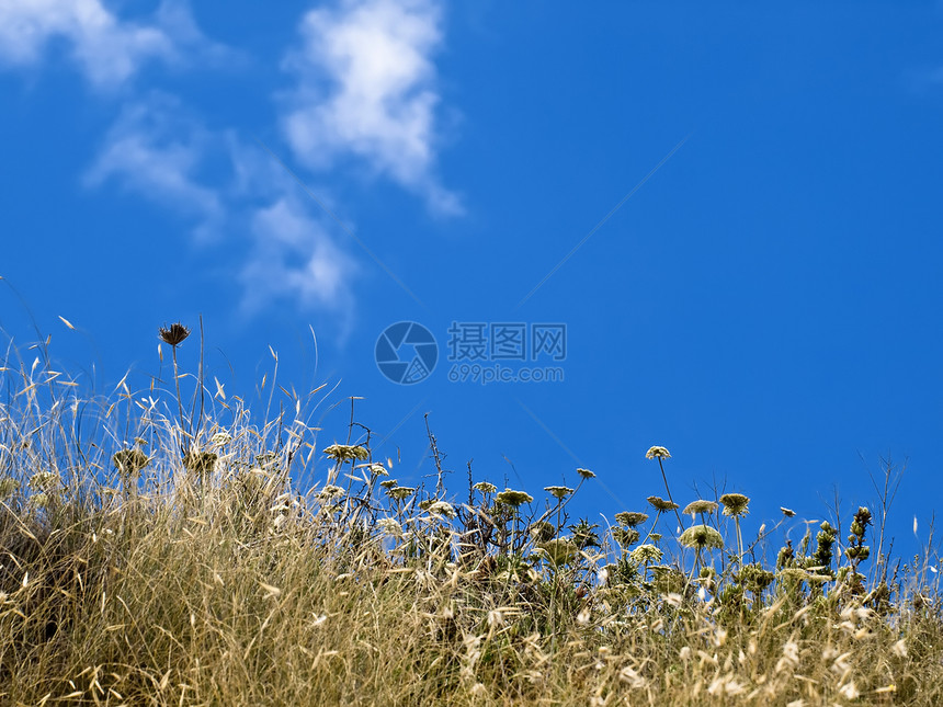 春天的欢乐冒险气候天空概念风景季节农村绿色植物远足草原图片