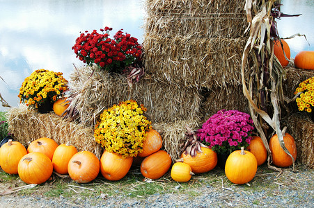 年度秋季背景图片