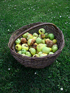 苹果篮子食物黄色绿色水果红色背景图片
