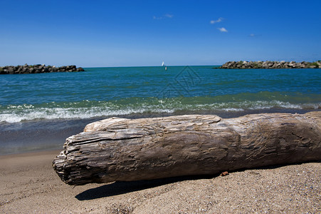 漂流日志素材沙滩上漂流木天空木头日志地平线热带海岸海洋冲浪浮木爬坡背景
