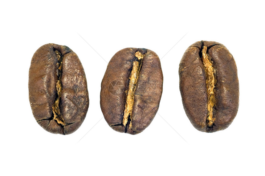 咖啡粮食白色摩卡芳香宏观豆子布朗图片