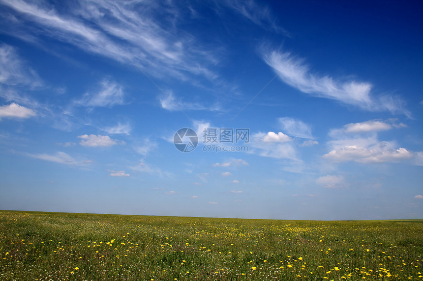 充满黄花的草地太阳农村季节晴天国家牧场农业天气土地风景图片