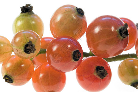 红曲线水果白色宏观食物红色背景图片