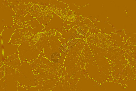秋季背景叶子黄色棕色边缘季节背景图片