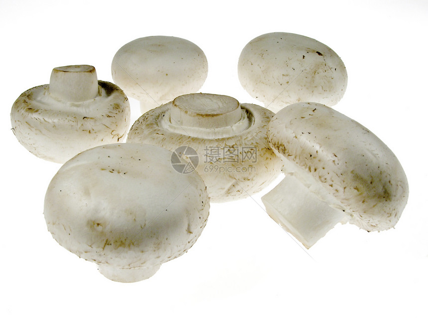 蘑菇蔬菜美食杂货营养白色图片