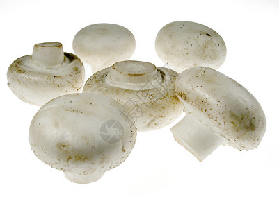 蘑菇蔬菜美食杂货营养白色背景图片