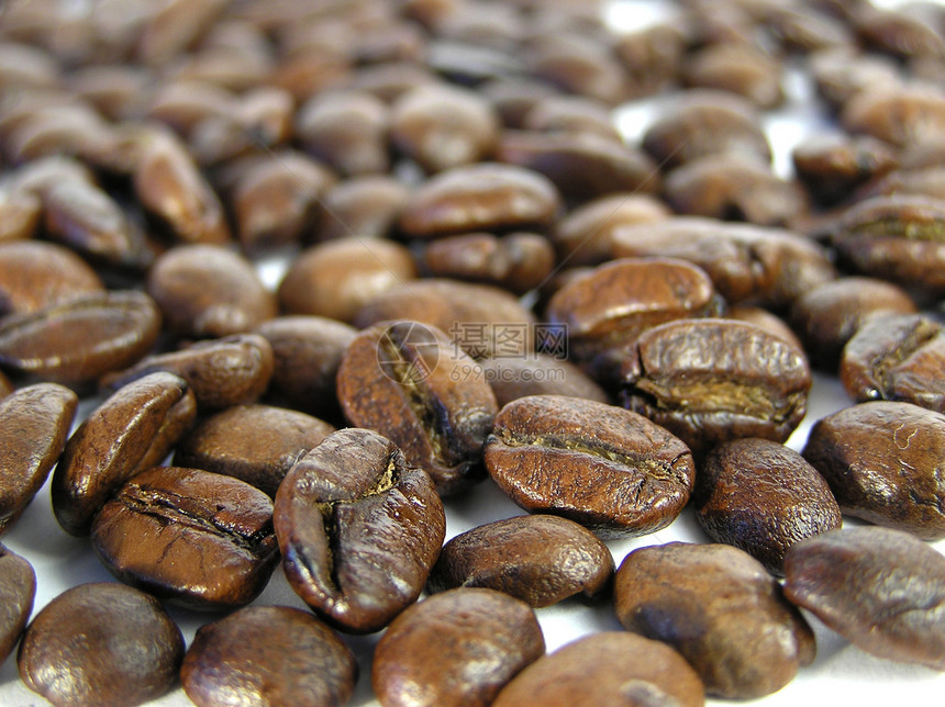 咖啡粮食白色摩卡豆子芳香宏观图片