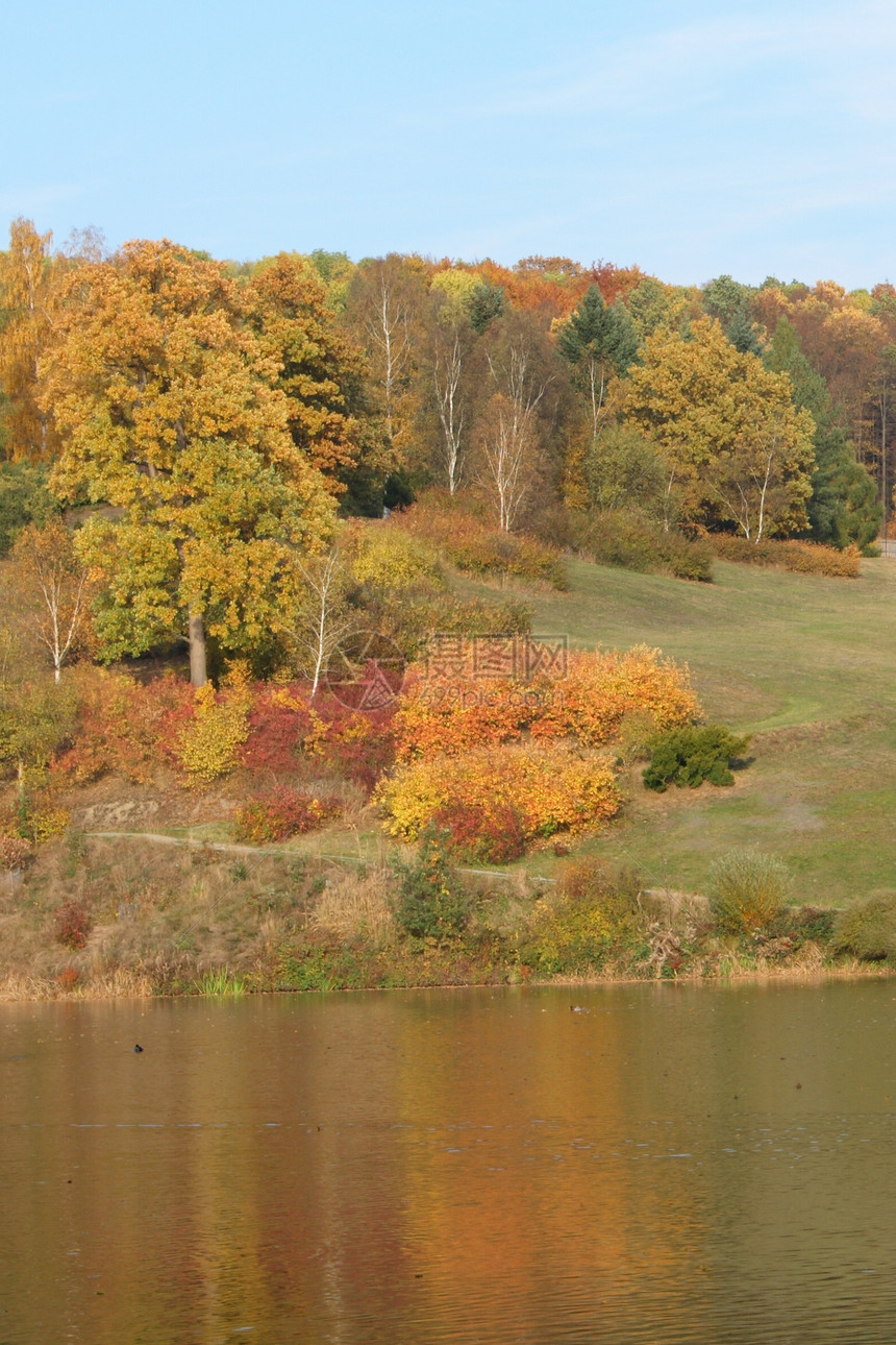 秋季秋天反射池塘衬套绿色季节红色草地公园树木灌木丛图片