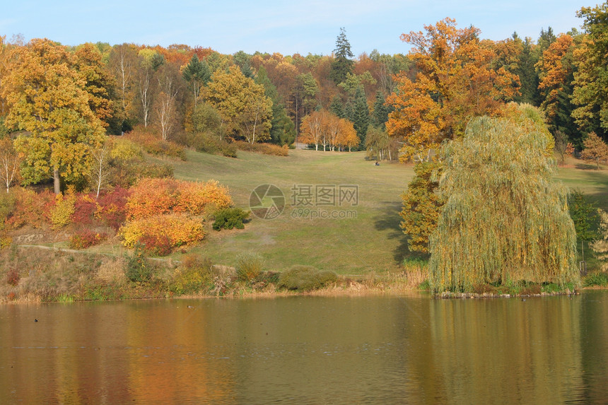 秋季秋天灌木丛橙子公园反射草地红色树木池塘绿色森林图片