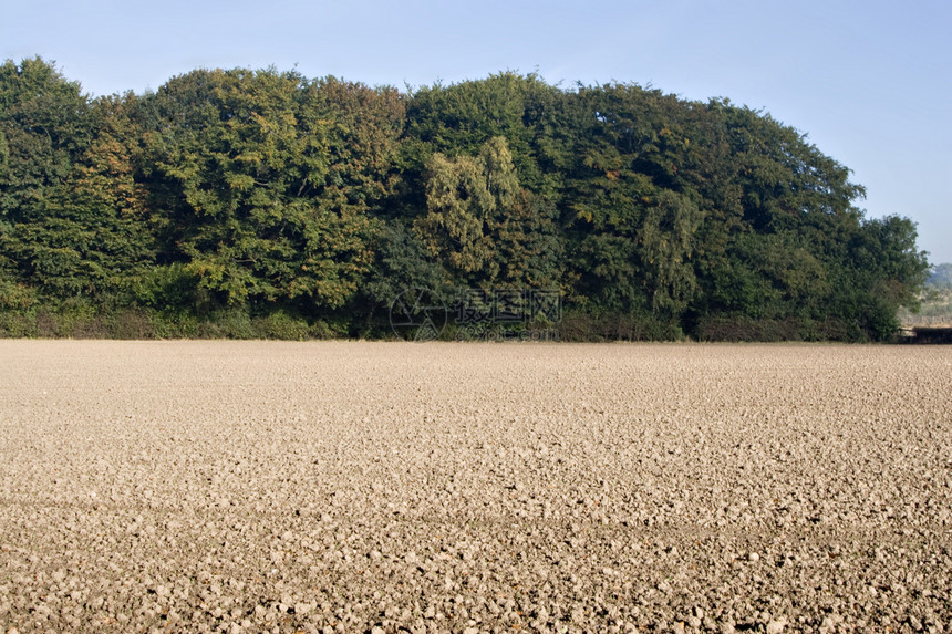 犁田环境土壤收获季节性地面农村乡村条纹农业季节图片