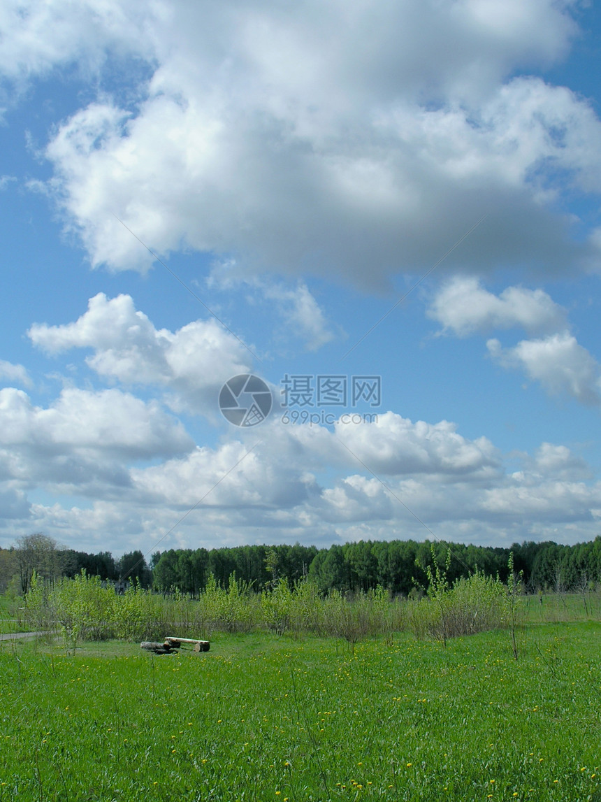 夏季夏月草本植物层云乐趣天堂天蓝色蓝色天空风景网络墙纸图片