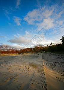 沙地上的足迹人行道蓝色木头红色日落树木海滩背景图片