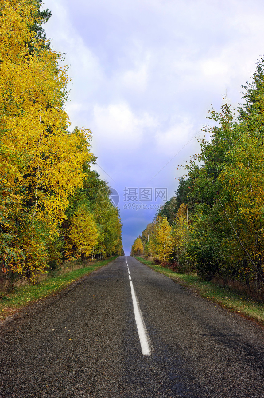 秋季公路木头太阳公园天空线条旅行森林农村路面季节图片