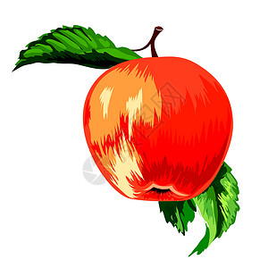 橘子红了有叶子的红开苹果插画