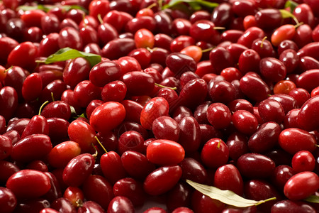 山茱萸种植肉质营养水果阴影甜点红色叶子食物饮食背景图片