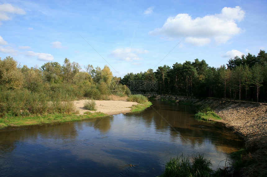 森林中的河流波兰环境晴天银行植物群树木蓝色反射季节天空悬崖图片