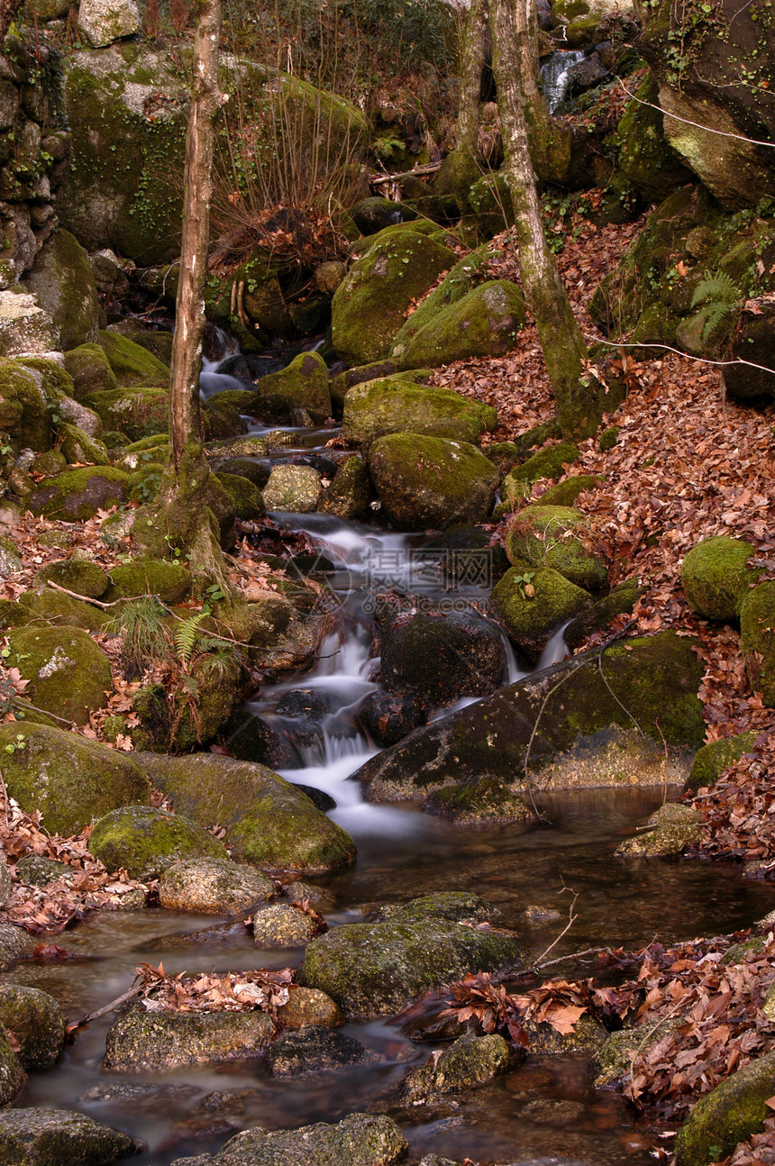 河流岩石瀑布流动荒野森林苔藓绿色溪流风景图片