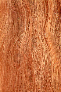 棕色头发健康宏观背景图片