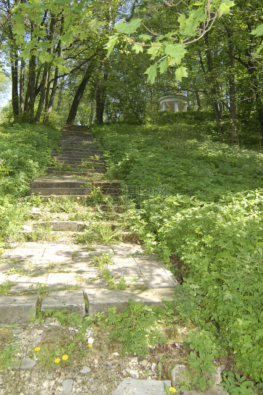 旧梯子公园小路偏见阴影爬坡植物楼梯石头大厅圆形图片