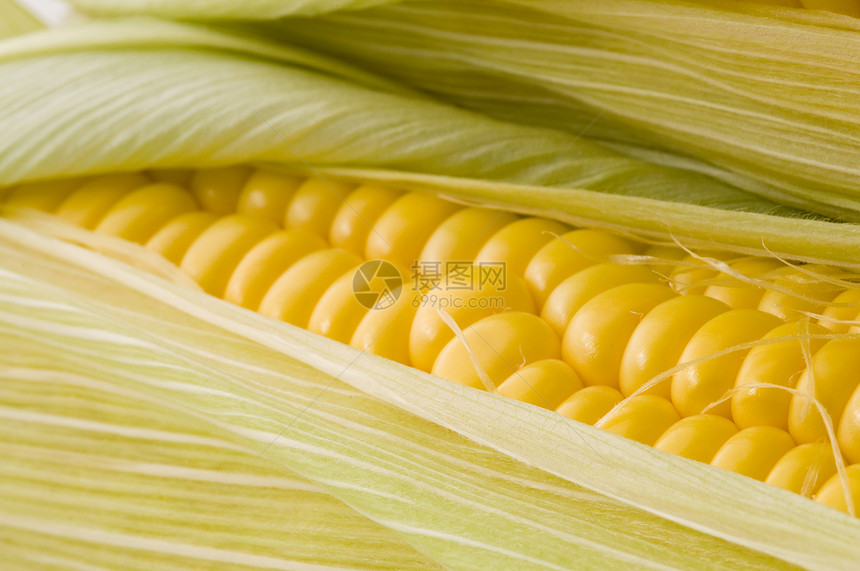 金金玉米生产饮食宏观绿色农业蔬菜营养收成粮食黄色图片