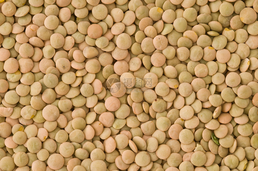 扁豆饮食农业营养食物宏观健康种子蔬菜豆类烹饪图片