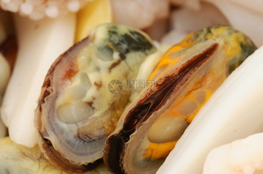 贝壳美食宏观午餐健康海鲜食物图片