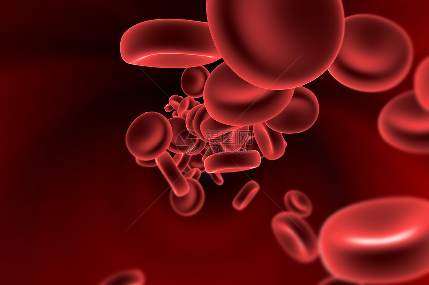 血细胞细胞生物学微生物宏观溪流红色传播动脉健康图片