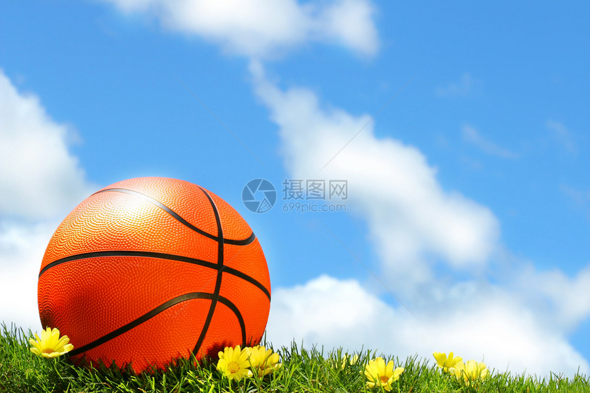 草地上的篮球雏菊圆圈闲暇乐趣游戏白色篮子圆形运动黑色图片