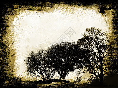 Grunge树老化叶子插图帆布背景图片