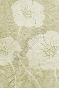 弗洛拉尔格朗格帆布老化插图叶子背景图片