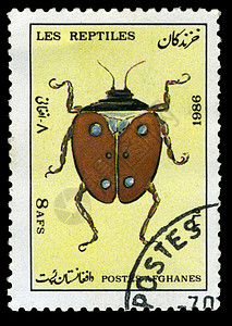 1986年阿富汗印章集邮邮件邮资邮戳昆虫甲虫背景图片