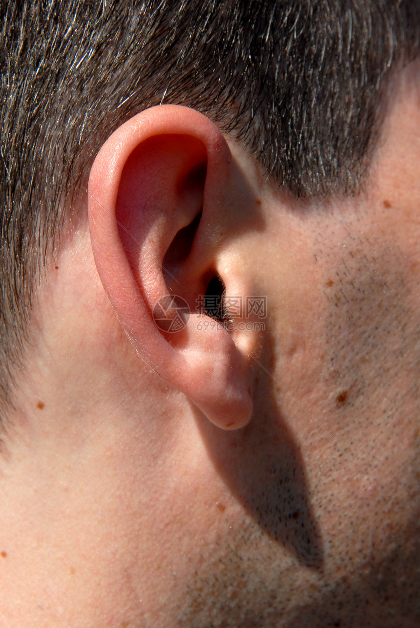耳耳朵曲线白色棕色男性红色皮肤警报戒指成人头发图片