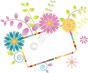 小雏菊花明亮鲜花边界蓝色矩形黄色卡片花瓣粉色繁荣插图绿色设计图片